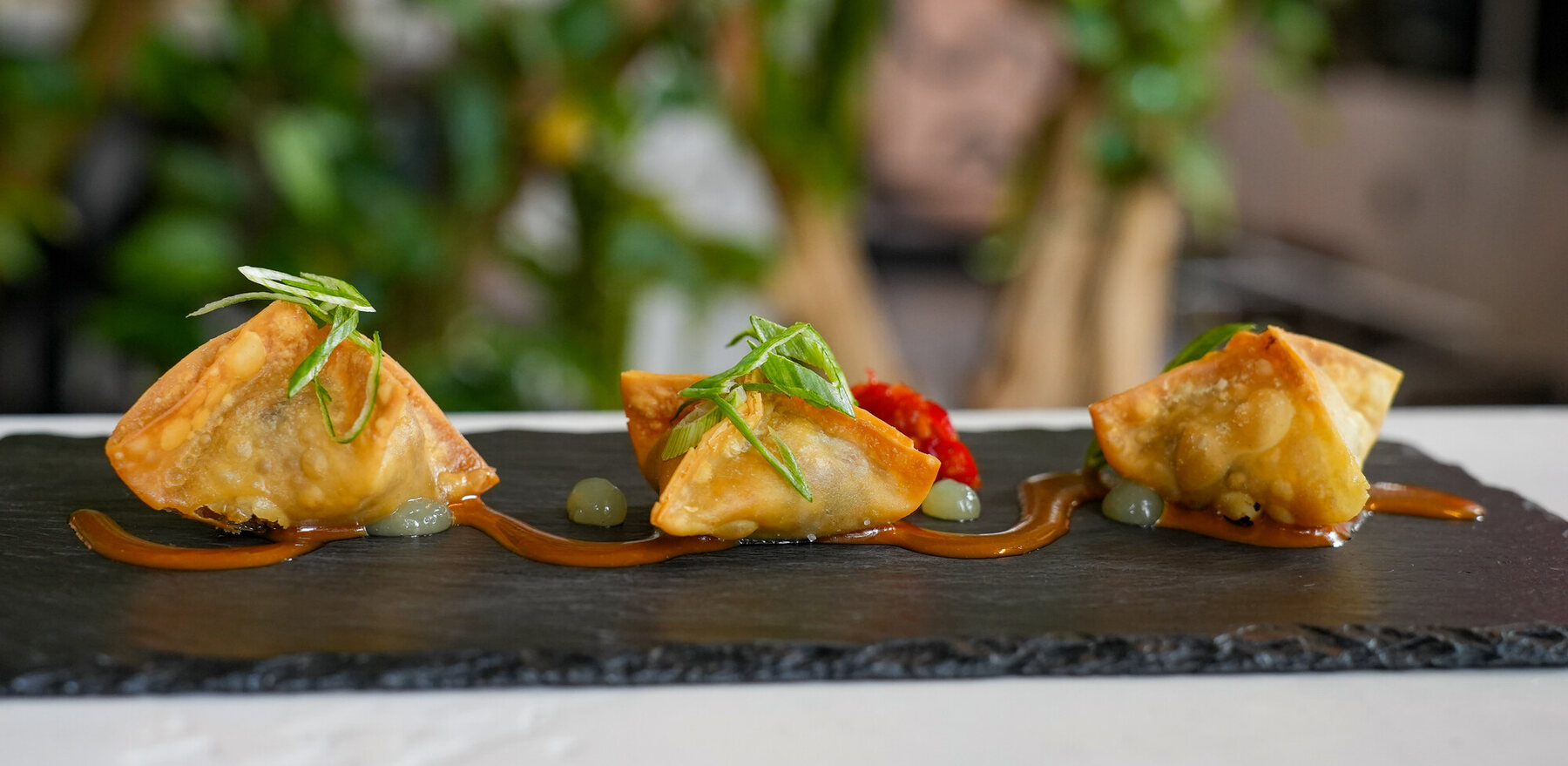 Gyoza